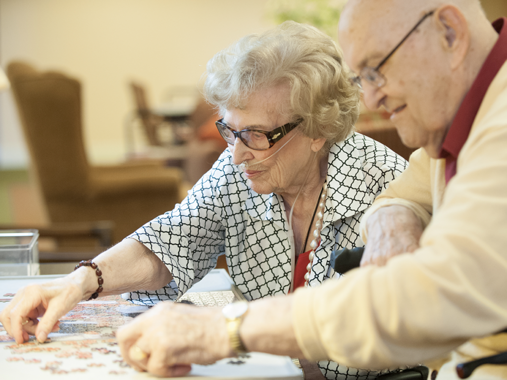 Brain Puzzles | Elder Care Alliance