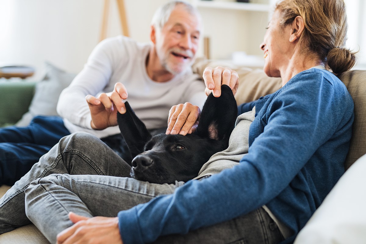 Benefits of Pet Therapy for Seniors