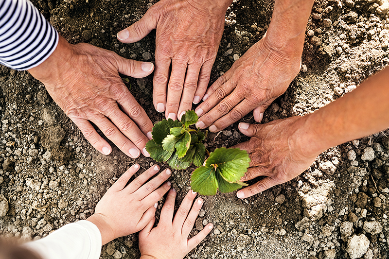 A group of seniors spend time gardening as an activity for older adults.