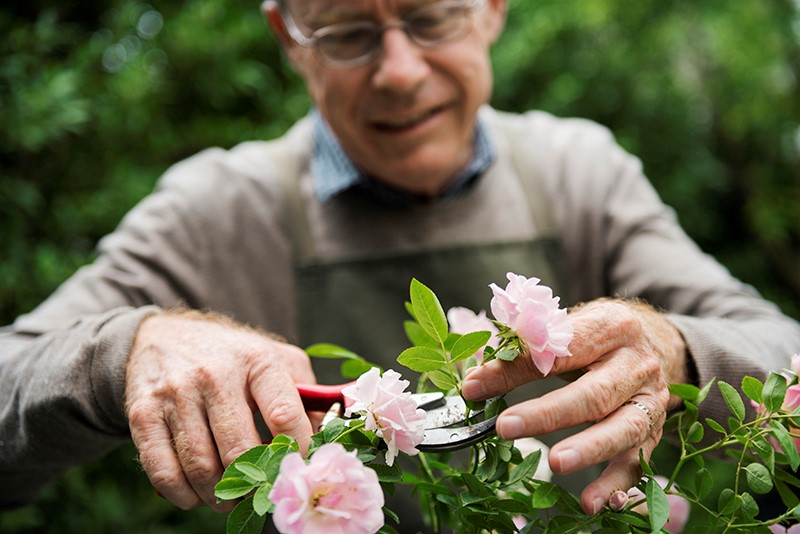 Gardening Benefits for Older Adults