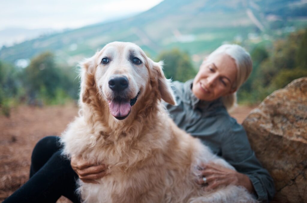 benefits of pets for older adults