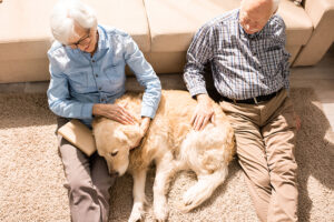 Choosing the best pets for seniors means considering a number of factors.