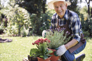 What are the best memory care activities​.