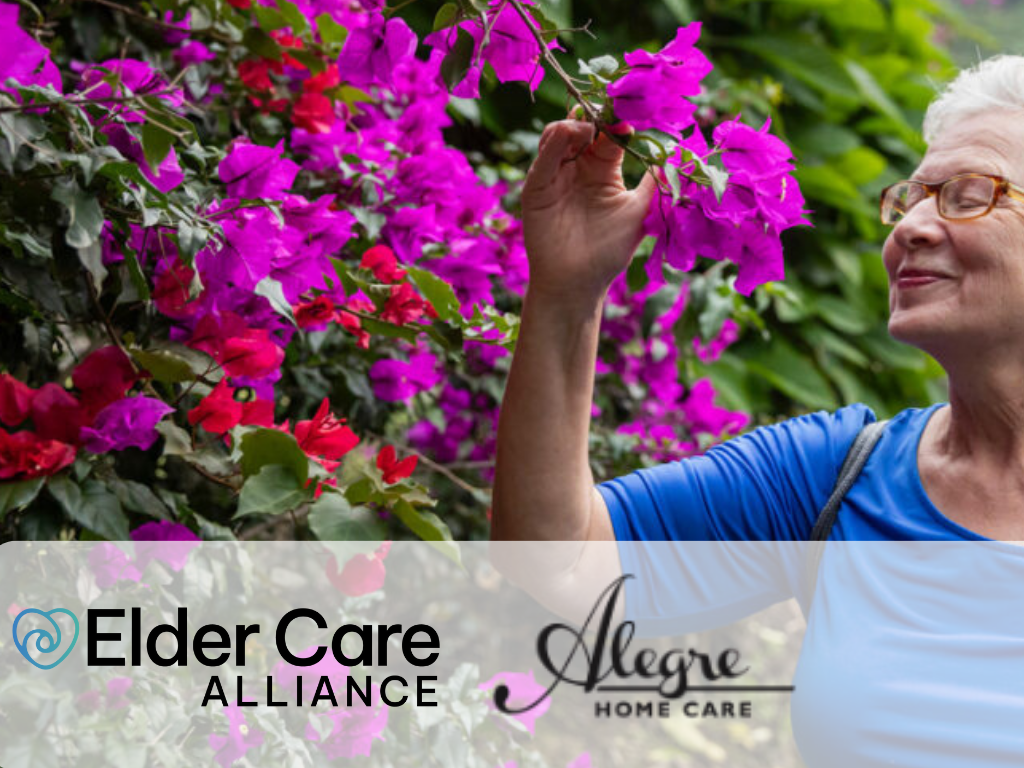 Alegre Home Care Joins Elder Care Alliance, Expanding Transforming Age’s Nonprofit Network and Inclusive Home Care Services in California 