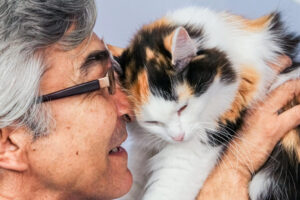Are cats good pets for seniors?