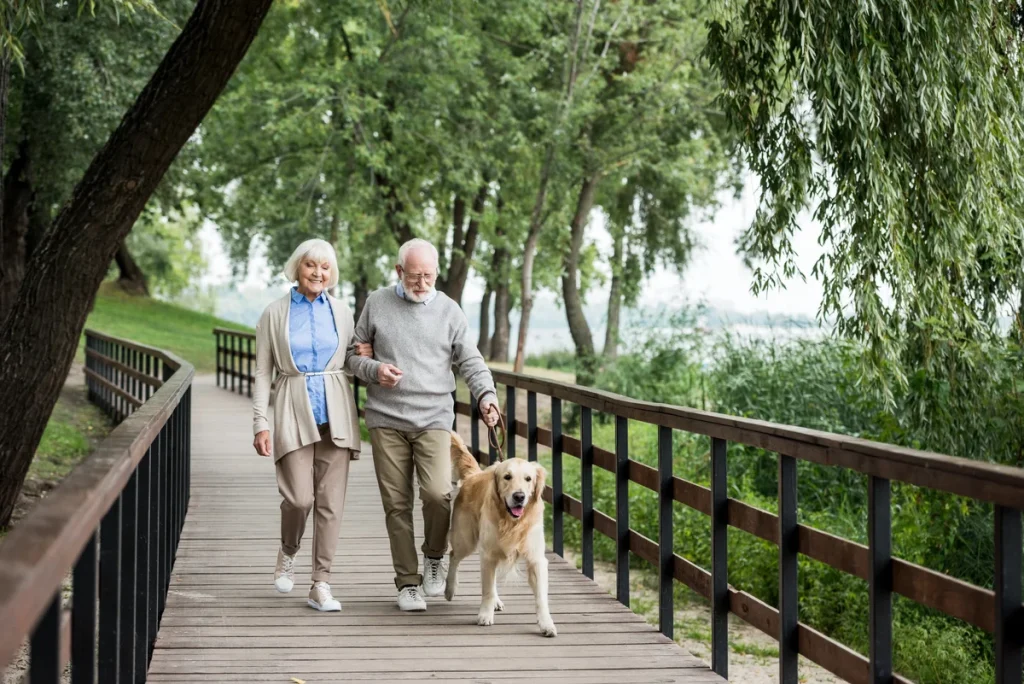 An elderly couple enjoys a typical day as they walk a dog together along a wooden pathway in a park lined with green trees, reflecting the active lifestyle often encouraged in senior care and assisted living communities.