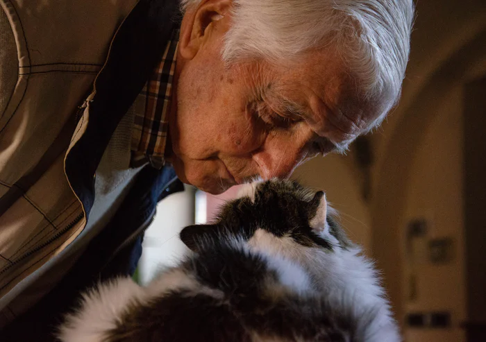 The Importance of Pets to Seniors